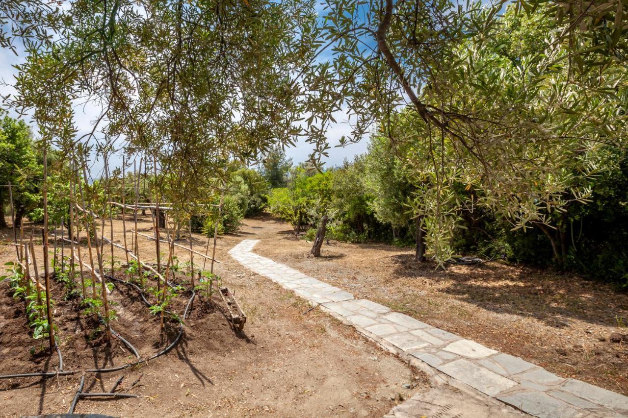 Hidden Gem Sithonia Villa Metochi Agias Kiriakis Dış mekan fotoğraf