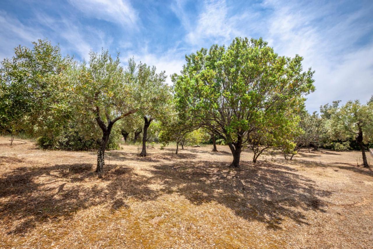 Hidden Gem Sithonia Villa Metochi Agias Kiriakis Dış mekan fotoğraf